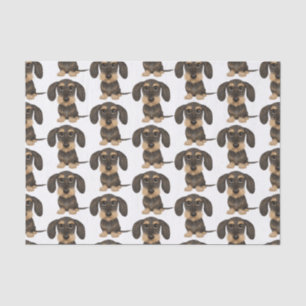 Papel De Seda Dachshund  Cachorro Teckel Cute Patterado