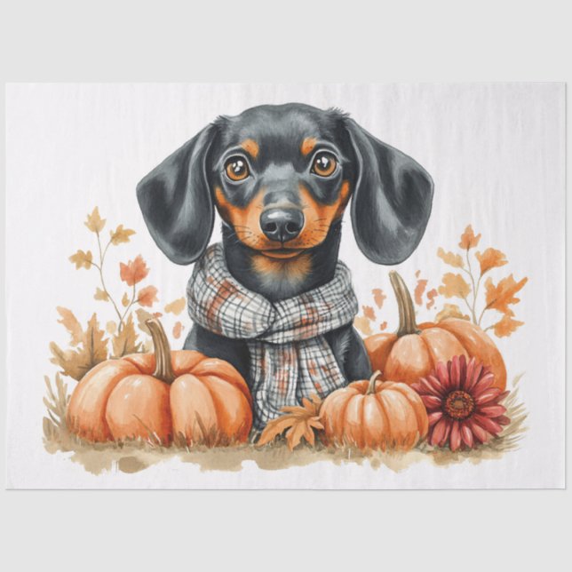 Papel De Seda Dachshund com Decoupage de Abóboras (Frente )
