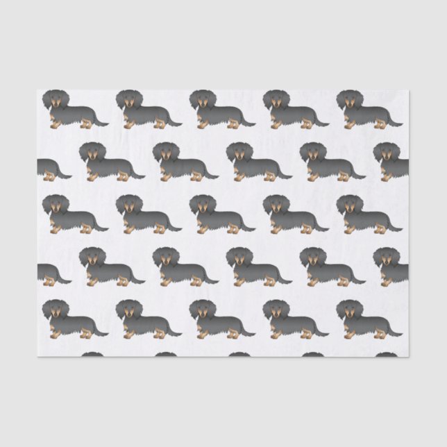 Papel De Seda Dachshund de Cabelo Longo Preto e Castanho Padrão  (Frente )