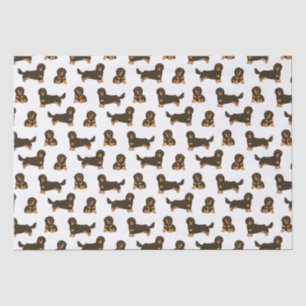 Papel De Seda Dachshund de cabelos longos