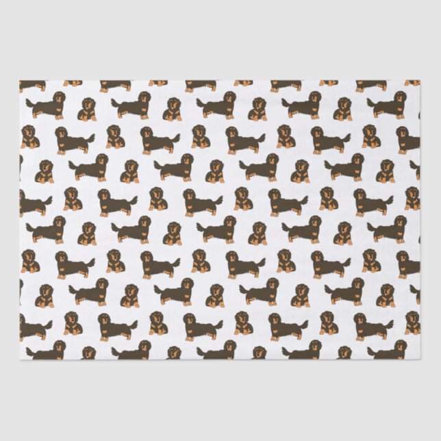 Papel De Seda Dachshund de cabelos longos (Frente )