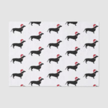 Dachshund no Natal