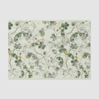 Papel De Seda Dacil Woodland Amarelo Floral Oxalis