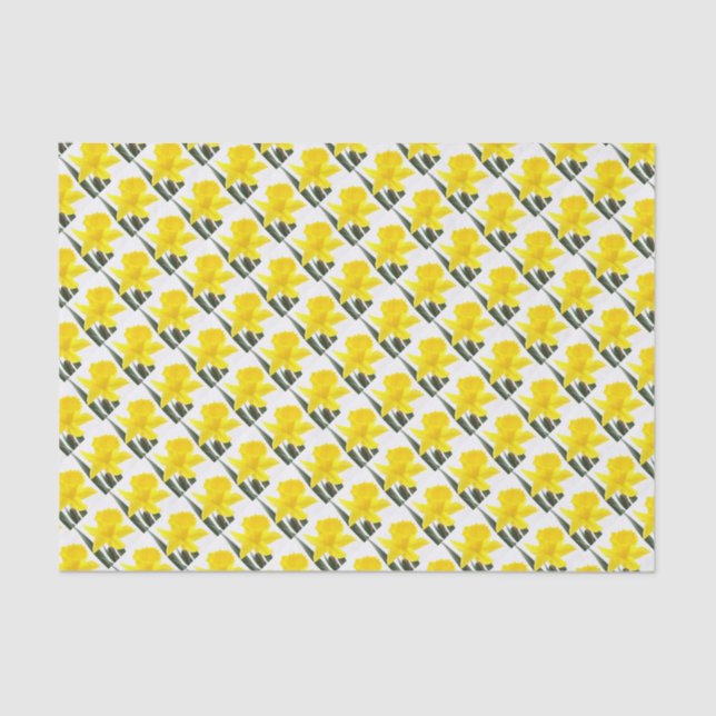 Papel De Seda Daffodil Narciso Amarelo solteiro (Frente )