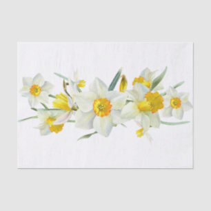 Papel De Seda Daffodil Primavera Flower Watercolor
