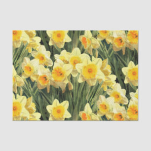 Papel De Seda Daffodils amarelos do primavera