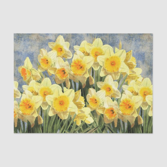 Papel De Seda Daffodils amarelos do primavera rústicos (Frente )