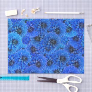 Papel De Seda Dahlias em azul real - desenho floral,