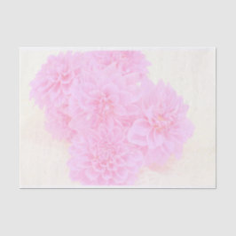 Papel De Seda Dahlias Em Rosa Suave
