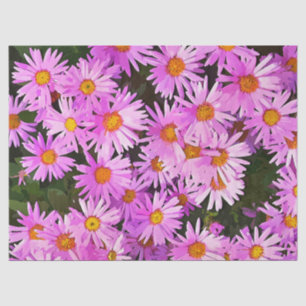 PAPEL DE SEDA DAISES