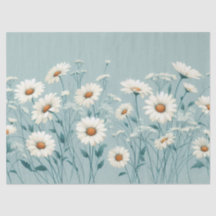 Daisy Abundante
