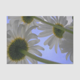 Papel De Seda Daisy Day