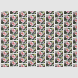 Papel De Seda Daisy em rosa