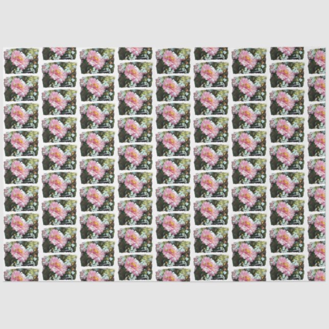 Papel De Seda Daisy em rosa (Frente )