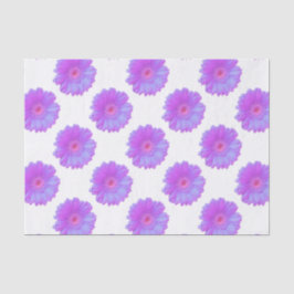 Papel De Seda Daisy gerbera