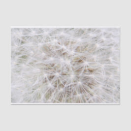 Papel De Seda Dandelion 9668