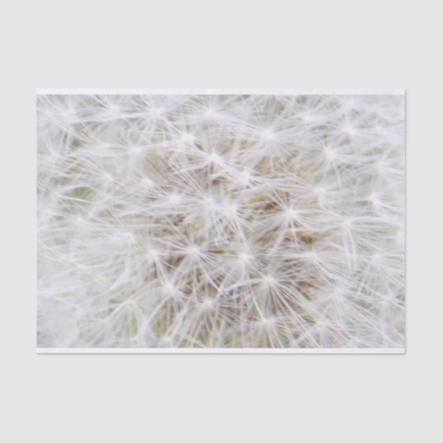 Papel De Seda Dandelion 9668 (Frente )