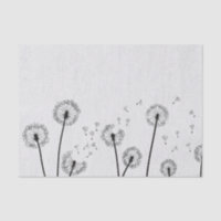 Dandelions Flores Pappus Spores Cinzas