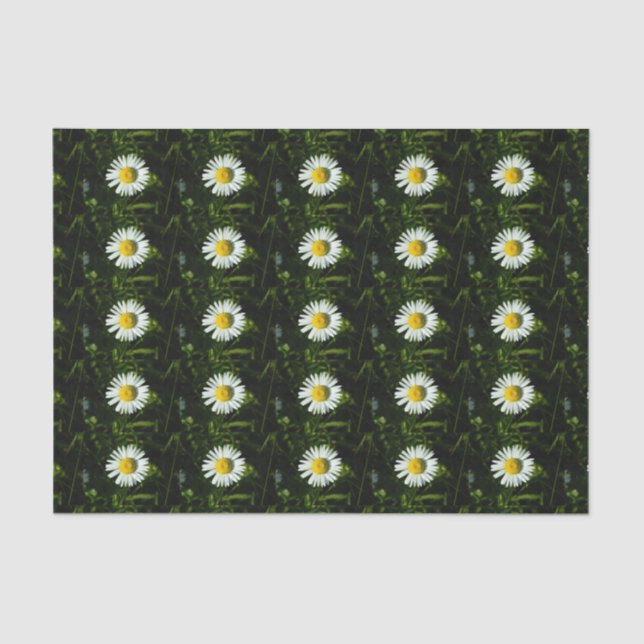 Papel De Seda Dazzling Daisy Tissue Paper (Frente )