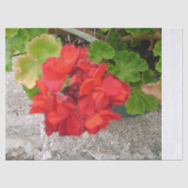 papel de seda de flor vermelha