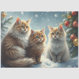 Papel de Seda de Gatos de Natal Adoráveis