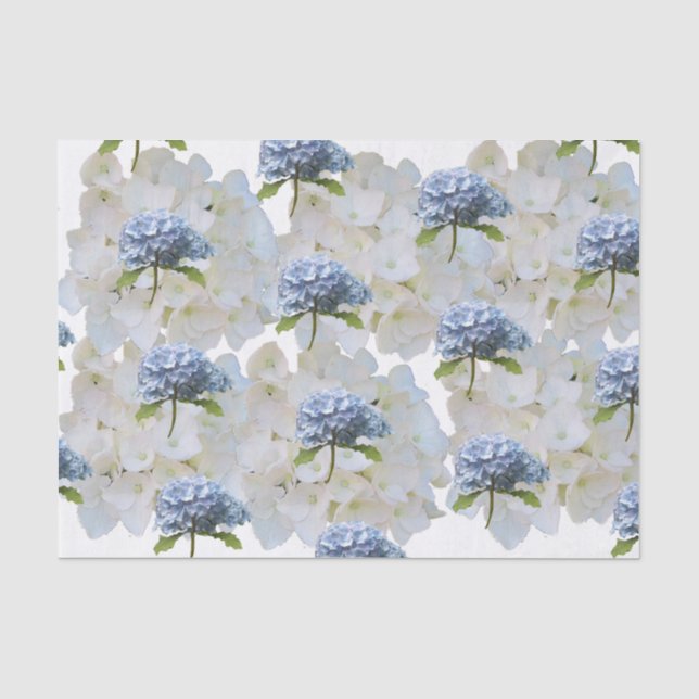 Papel de Seda de Hortênsia Azul Empoeirada (Frente )