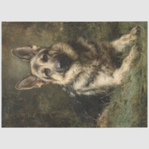 Papel De Seda Decodificação da pintura majestosa alemã Shepard