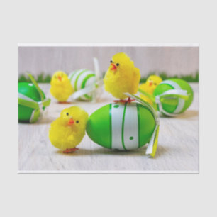 Papel De Seda Decoração da Páscoa - Ovos e pintinhos de Pásc