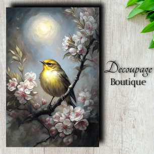 Papel De Seda Decoupage Canção ao Luar