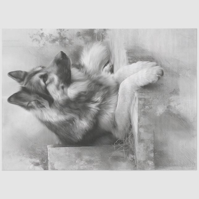 Papel De Seda Decoupage Carvões Alemães Shepard Retrato (Frente )