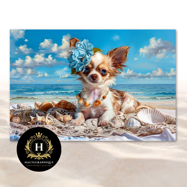 Papel De Seda Decoupage Chic em Praia de Chihuahua Puppy (Criador carregado)