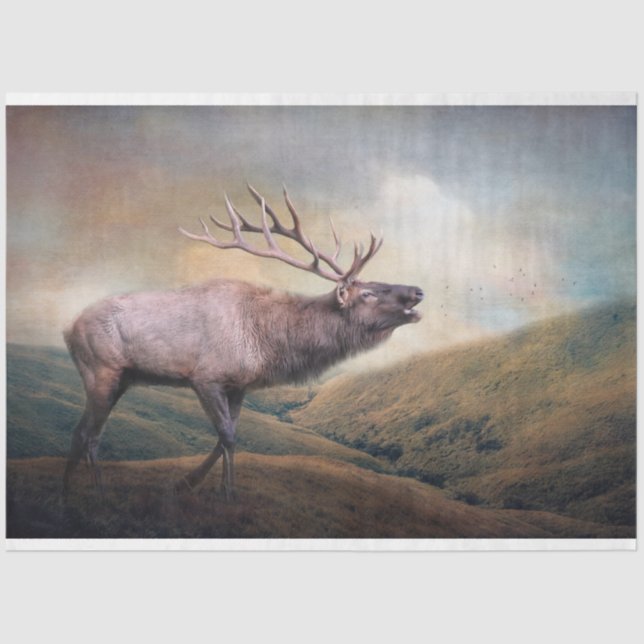 Papel De Seda Decoupage da Vida Selvagem de Bull Elk Bugling (Frente )
