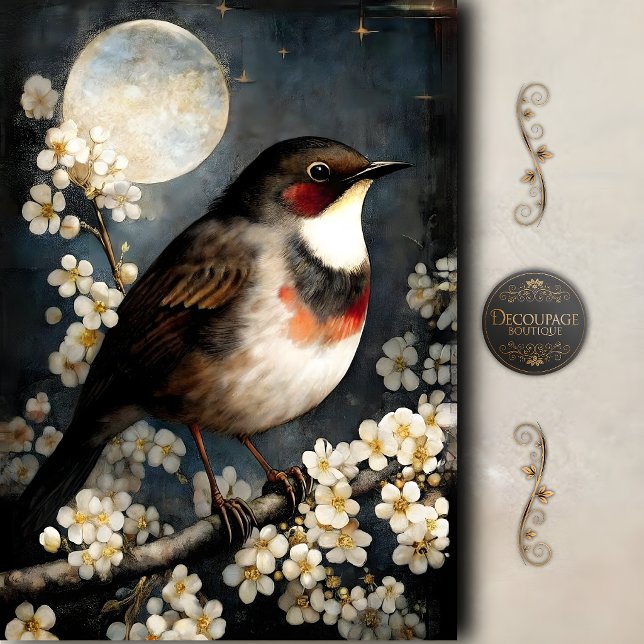 Papel De Seda Decoupage de Flor de Robin Iluminada pela Lua (Moonlit Robin Blossom Decoupage Tissue Paper)