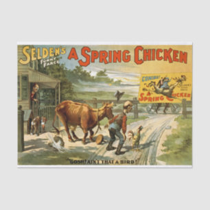 Papel De Seda Decoupage de Frango primavera