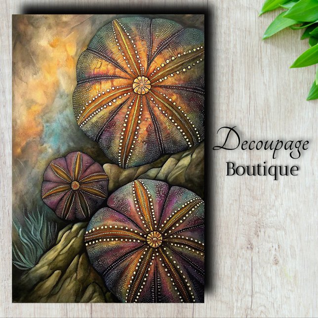 Papel De Seda Decoupage de Ouriço-do-Mar (Sea Urchin Decoupage Tissue Paper)