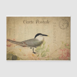 Papel De Seda Decoupage de Pássaros Cujos Cartão-Postal Francês 