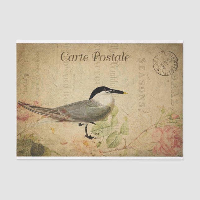 Papel De Seda Decoupage de Pássaros Cujos Cartão-Postal Francês  (Frente )
