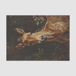 Papel De Seda Decoupage de Pintura de Foto Recém-Nascida