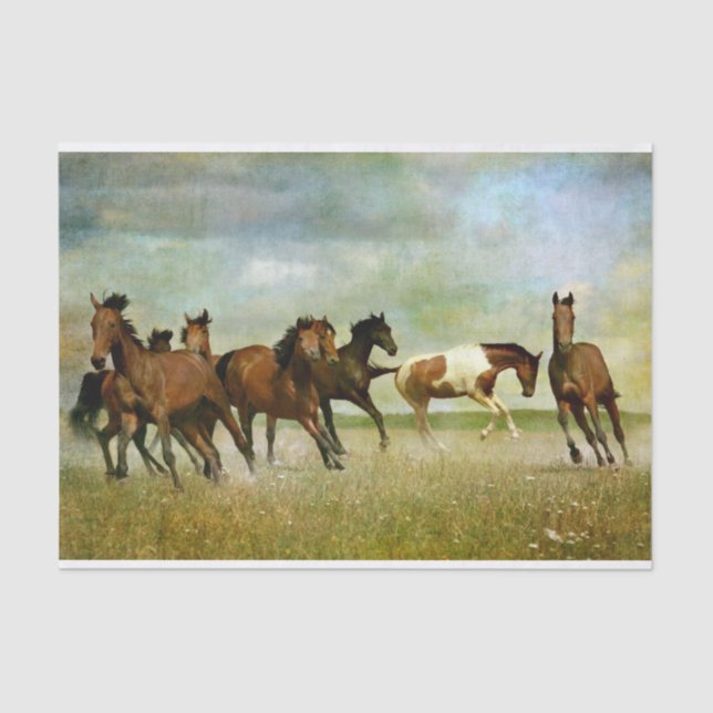 Papel De Seda Decoupage de Pintura de Pintura Selvagem de Cavalo (Frente )