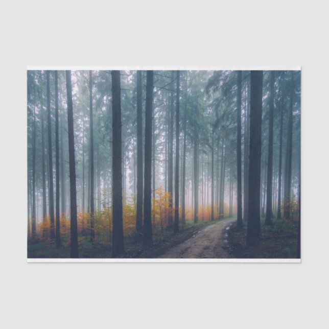 Papel De Seda Decoupage do Caminho da Floresta Mistura (Frente )