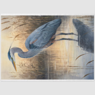 Papel De Seda Decoupage do Herão Azul excelente