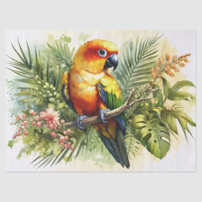 Papel De Seda Decoupage do Sun Conure (Frente )