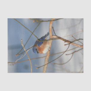 Papel De Seda Decoupage do Winter Bluebird