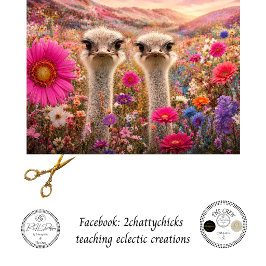Papel De Seda Decoupage Dupla Emu Divertida Campo de Flores Aust