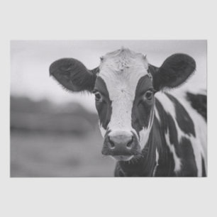 Papel De Seda Decoupage em preto e branco da vaca Holstein curio