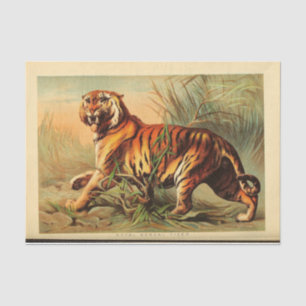 Papel De Seda Decoupage Ephemera Tigre