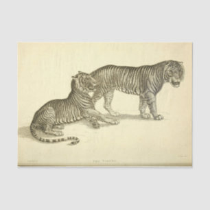 Papel De Seda Decoupage Ephemera Tigre