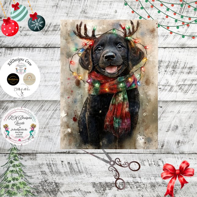 Papel De Seda Decoupage Especial Cachorrinho Lab Preto Noah (Criador carregado)