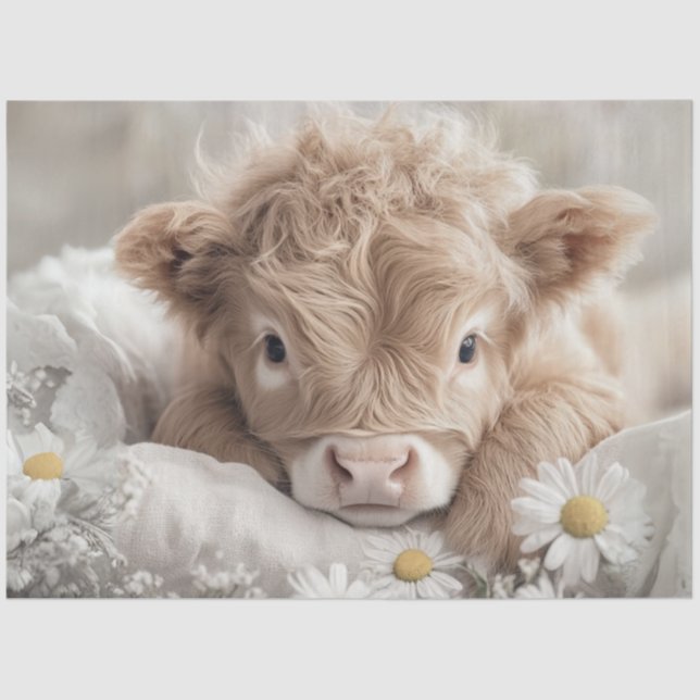 Papel De Seda Decoupage Highland Calf White Daisies (Frente )