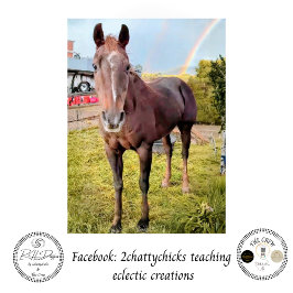 Papel De Seda Decoupage Horse in Field Rainbow 